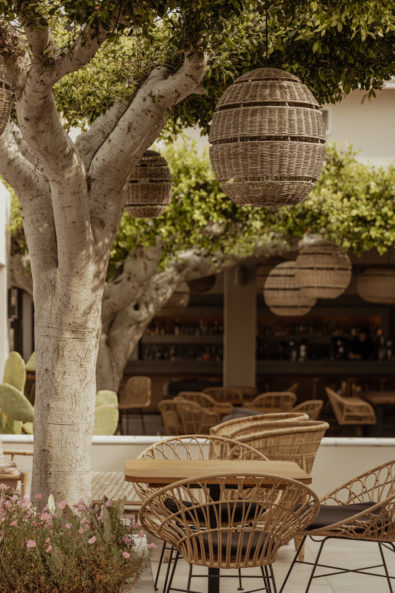 Gemütlicher Außenbereich eines Restaurants oder Cafés mit stilvollen Rattanstühlen und Holztischen unter schattenspendenden Bäumen, an denen große runde Lampen aus Korbgeflecht hängen, im Hintergrund eine Bar und üppige, grüne Bepflanzung.