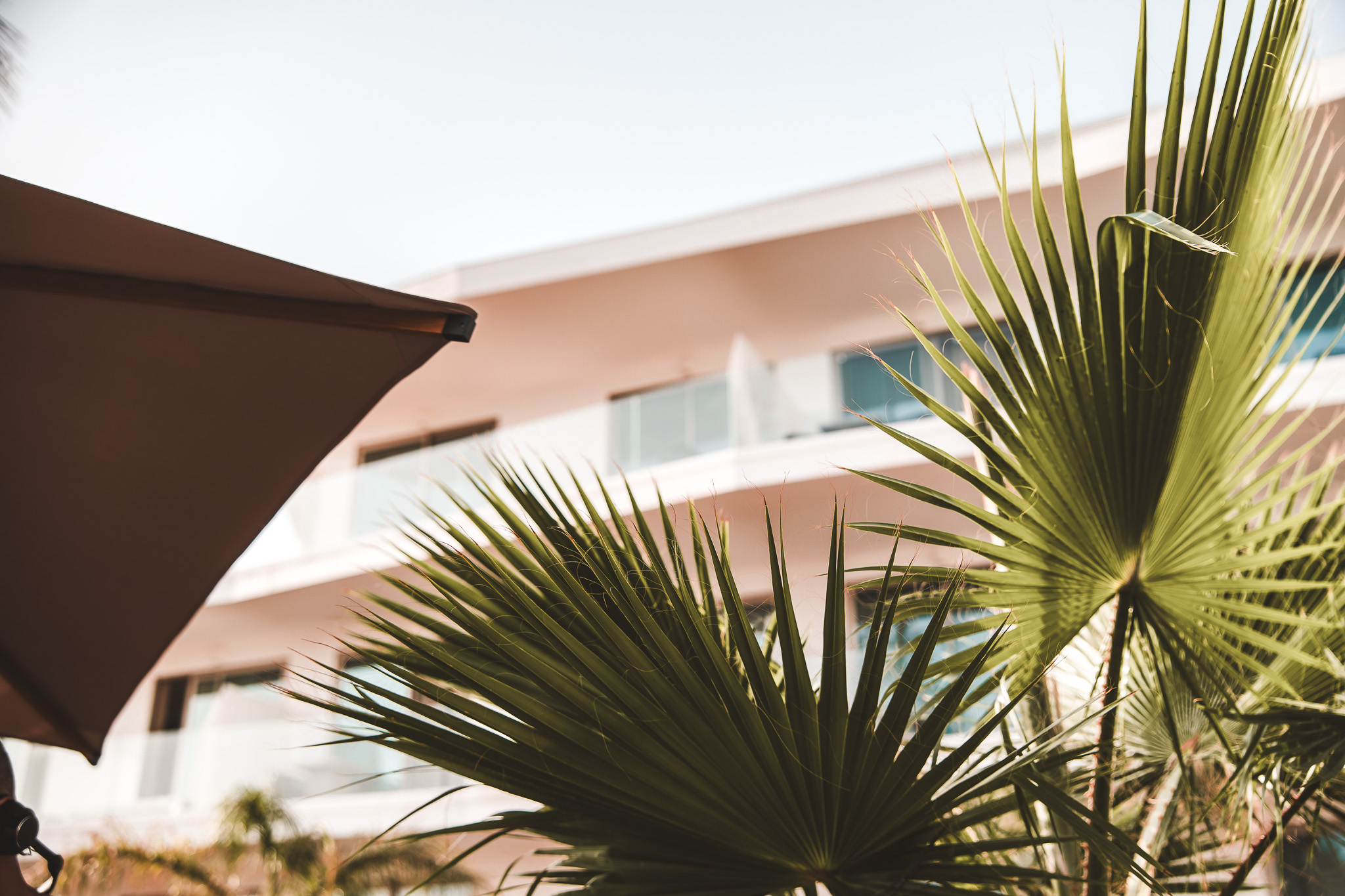„Blick durch Palmenblätter und Sonnenschirm auf die moderne Hotelarchitektur mit Balkonzimmern und Glasfronten.“