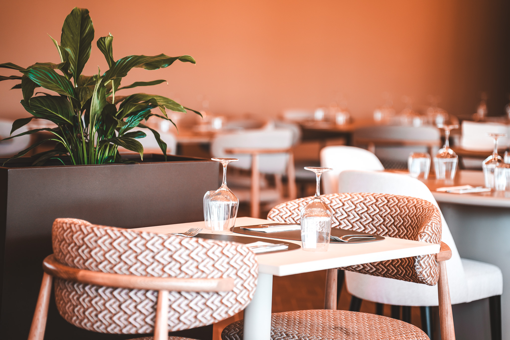 „Modernes Restaurant mit stilvoll gedeckten Tischen, eleganten Stühlen und gemütlichem Ambiente, dekoriert mit grünen Pflanzen.“