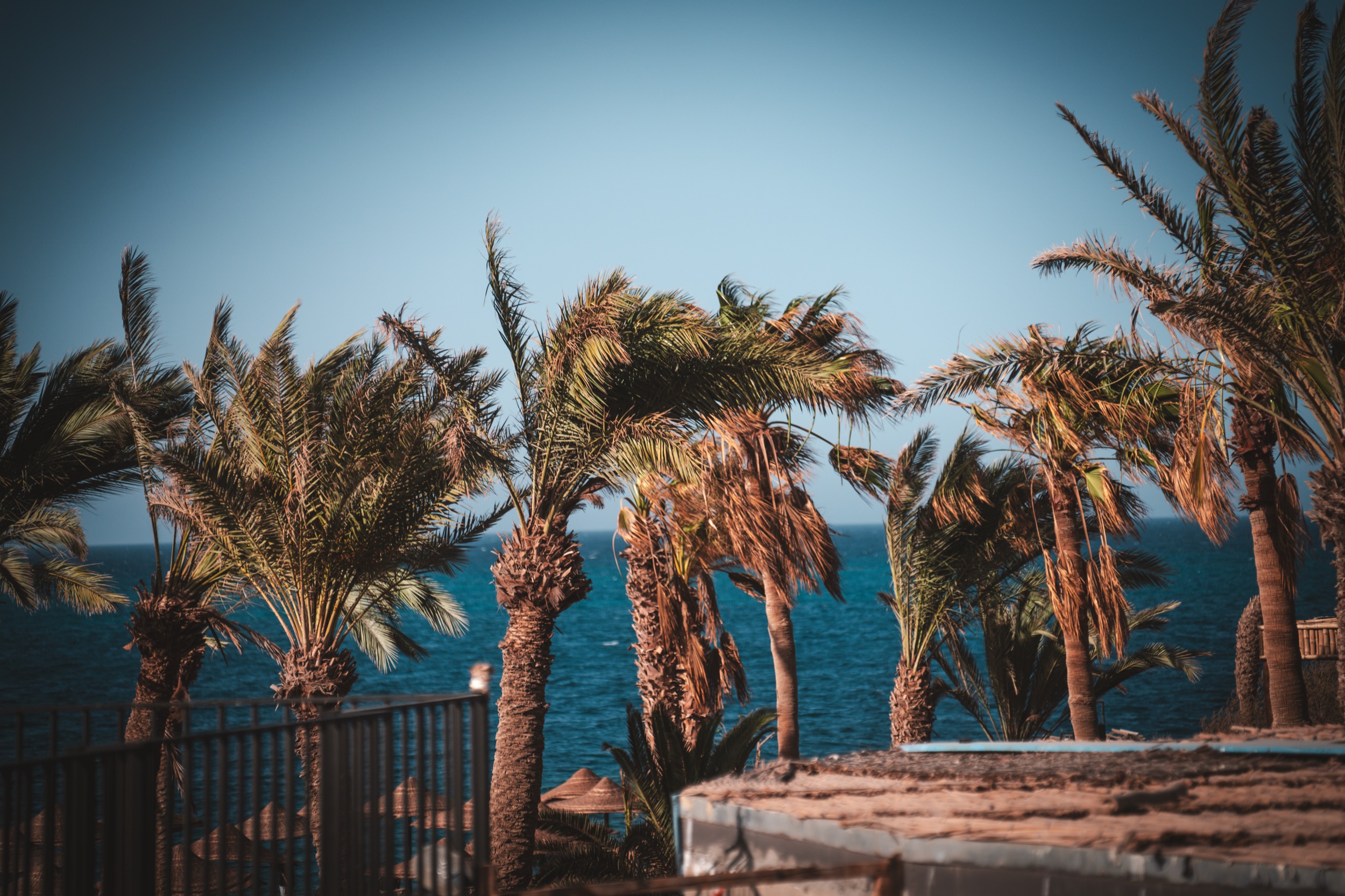 ananea Hurghada-072