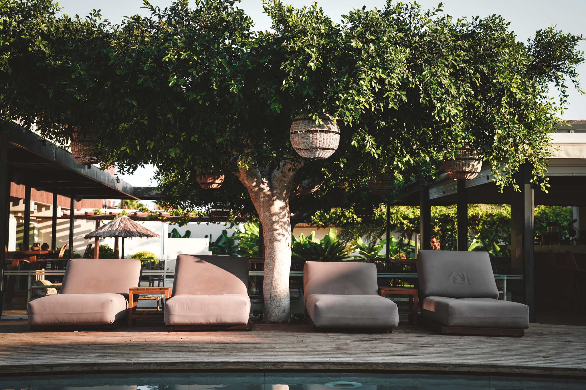 Vier graue Lounge-Liegen stehen nebeneinander auf einer Holzterrasse vor einem Pool, im Schatten eines großen Baumes mit hängenden Laternen.