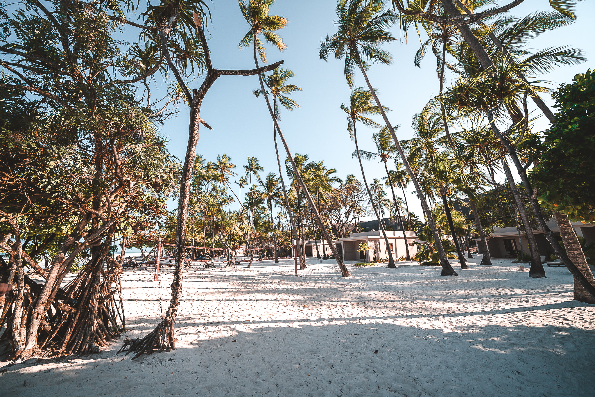 Weiße Sandwege und Palmen im Resort Diamonds Mapenzi Beach Zanzibar, die zu den Bungalows führen.