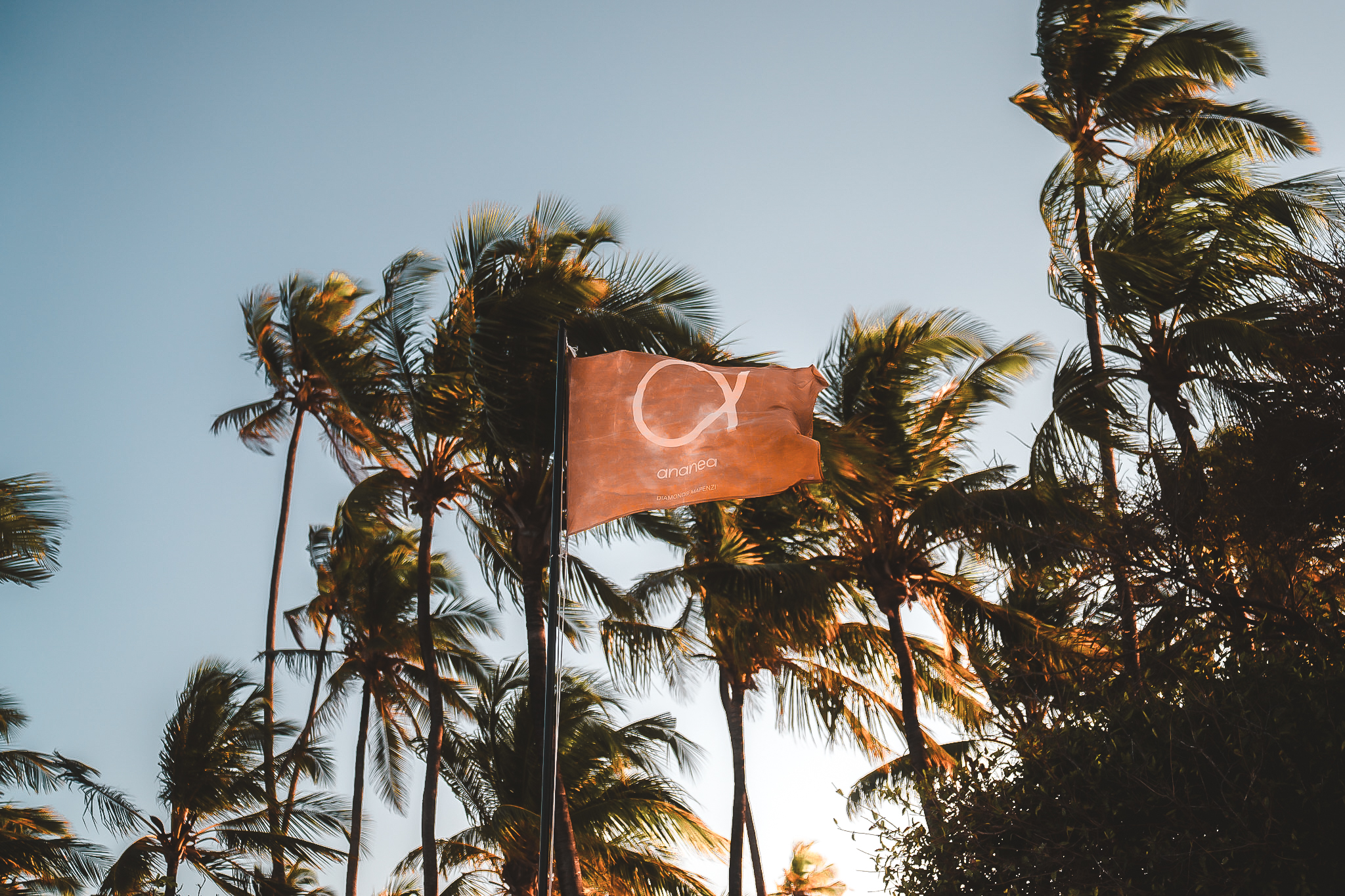 ananea-Flagge weht im Wind, umgeben von hohen Palmen vor blauem Himmel.