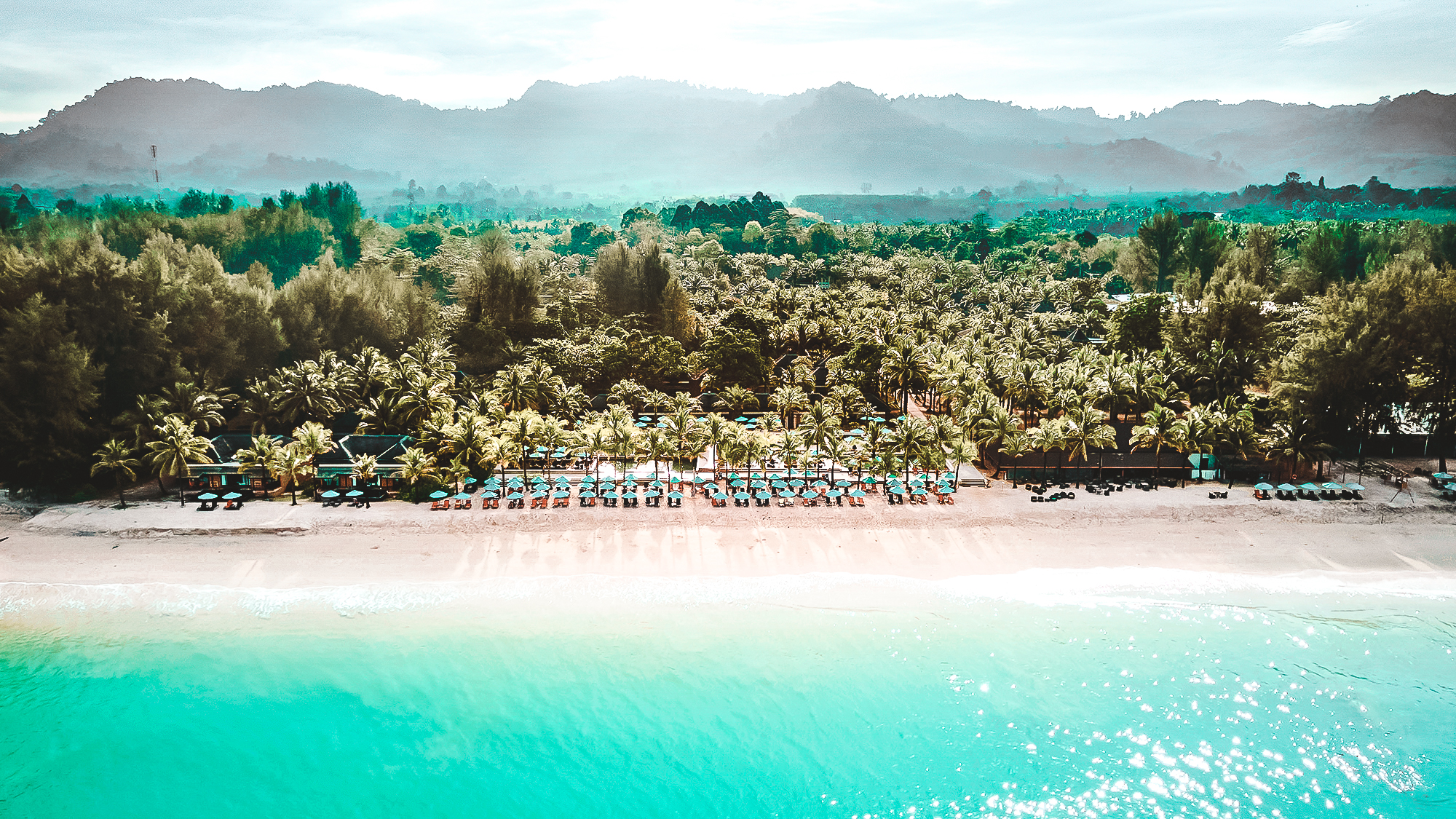 1733221637329-Overview4